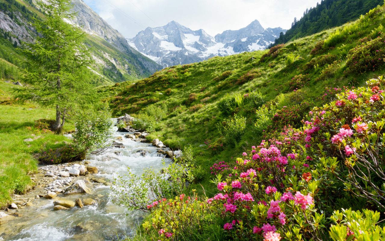 Tiroler Alpen Kräuterhof