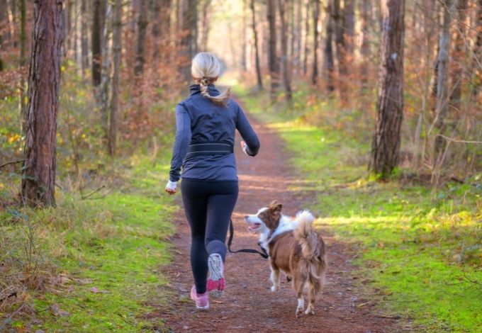 Hund und Frau joggen, fit