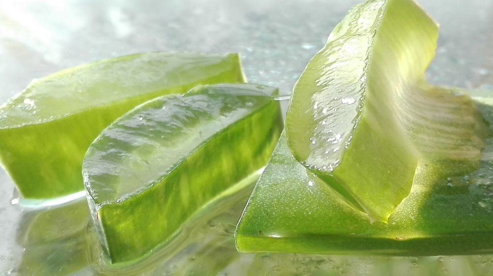 Aloe vera Gel vom Tiroler Kräuterhof