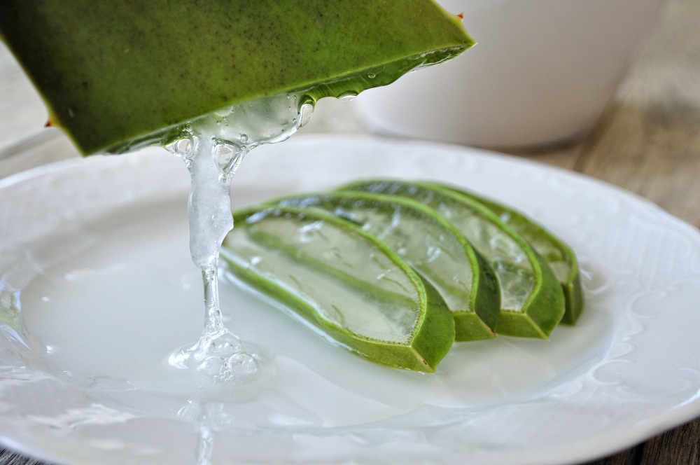 Aloe vera Gel vom Tiroler Kräuterhof