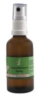 desinfektionsspray1