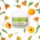 gesichtscreme-bio-50ml_2.jpg