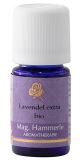 lavendel_l-lavendel_l-_therische_le.jpg