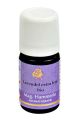 Lavendel extra fein bio