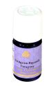 petitgrainoel-bigarde-aetherisches-oel-petitgrain-paraguay-5ml.jpg