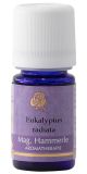 Eukalyptusöl radiata - Eucalyptus 