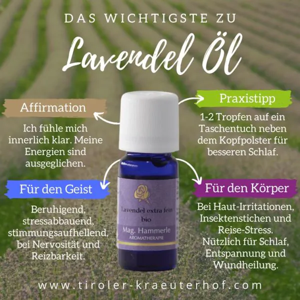 Echter Lavendel - Lavandula angustifolia - Kräuterei - Bioland-Gärtnerei Echter Lavendel - Lavandula angustifolia - Kräuterei - Bioland-Gärtnerei
