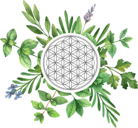 Flower of Life Flower of Life