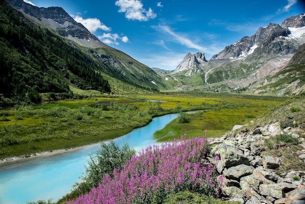 Naturkosmetik vom Tiroler Kräuterhof aus dem Online-Shop – auf den Spuren der Natur